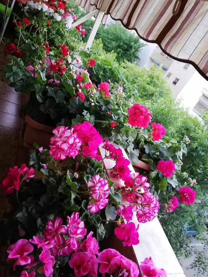 B&B Casa Mia Alghero إيطاليا