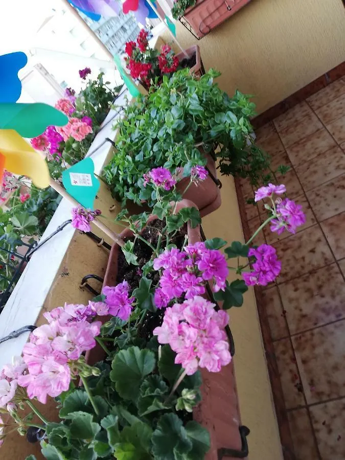 B&B Casa Mia Alghero 2*,